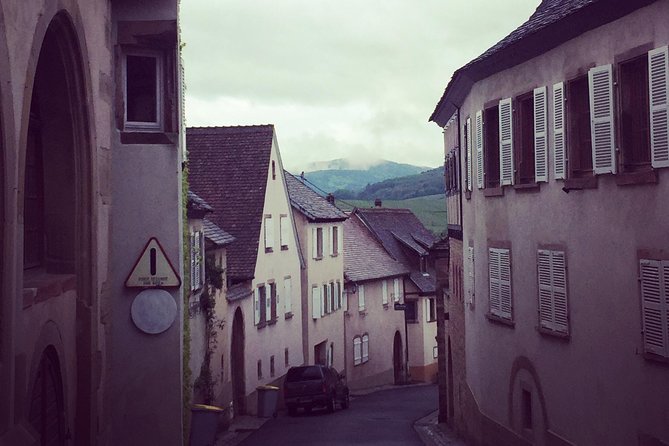 Alsace Wineries Private Half- or Full-Day Tour From Colmar - Winery Visits and Tastings