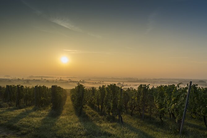 Alsace Wineries Private Half- or Full-Day Tour From Colmar - Transportation and Pickup