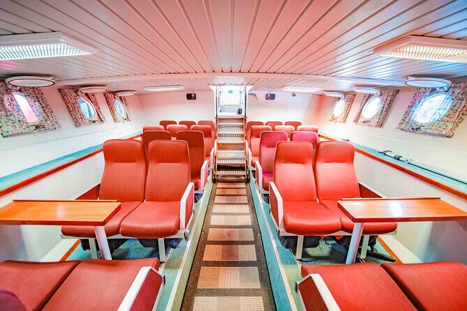 Alta Fjord Whale Watching on a Heated Boat - An Encounter with Nature: The Alta Fjord