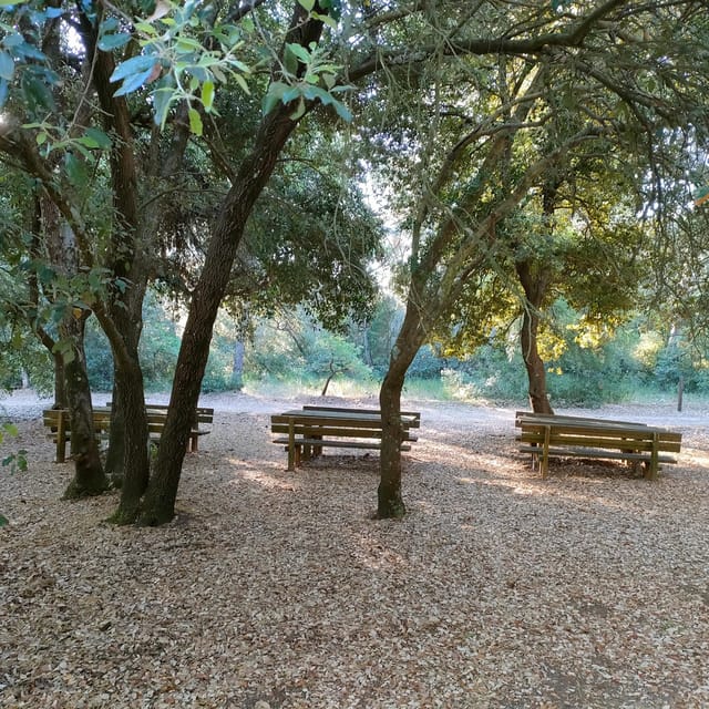 Alta Murgia: E-Bike Tour With Panoramic Aperitivo in Nature - Meeting Point and Arrival