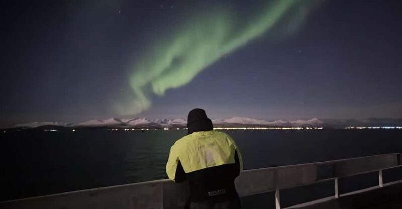 Alta Northern Lights Safari - Highlights of the Experience