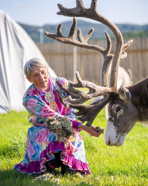 Alta: Reindeer - A carrier of Sámi Culture - In-Depth Look at the Reindeer and Sámi Culture Tour