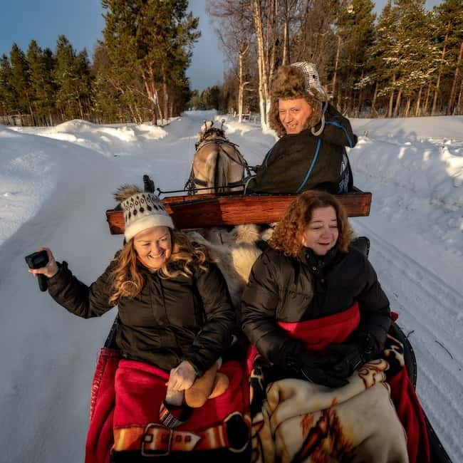 Alta: Sleigh or wagon Ride in the Arctic Countryside - Key Points