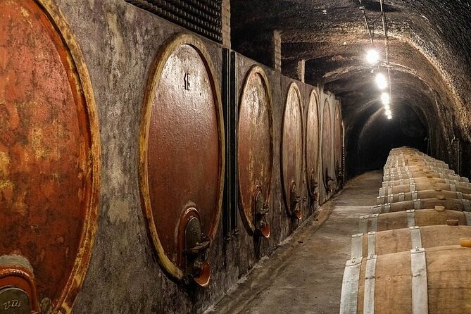 Alta Tuscia Ebike Tour With Visit to Antica Cantina Leonardi - Frequently Asked Questions