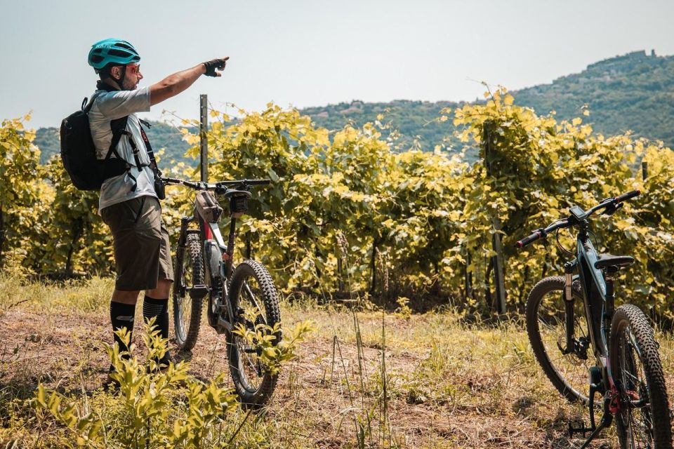 Alta Tuscia Ebike Tour With Visit to Antica Cantina Leonardi - Key Points