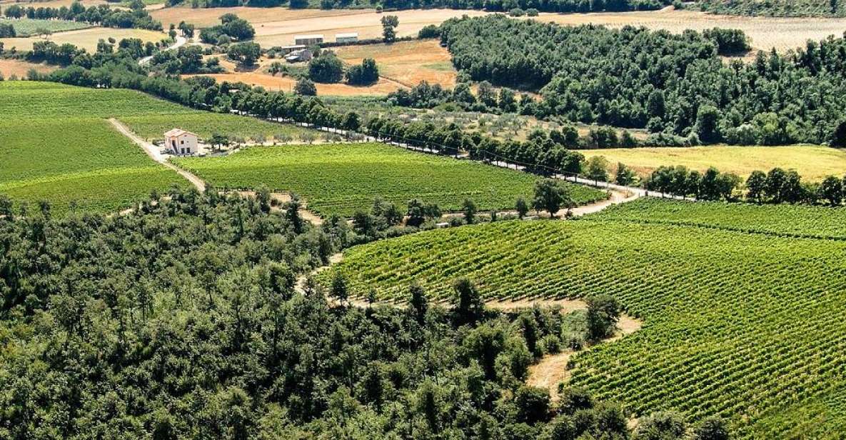 Alta Tuscia Ebike Tour With Visit to Antica Cantina Leonardi - Tour Highlights
