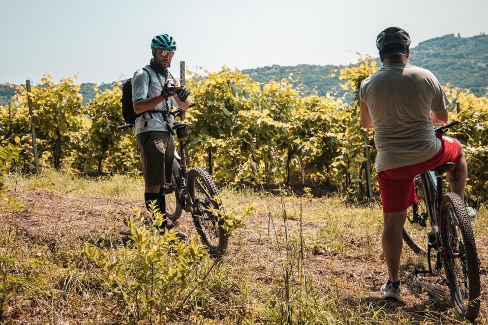 Alta Tuscia Ebike Tour With Visit to Antica Cantina Leonardi - Frequently Asked Questions