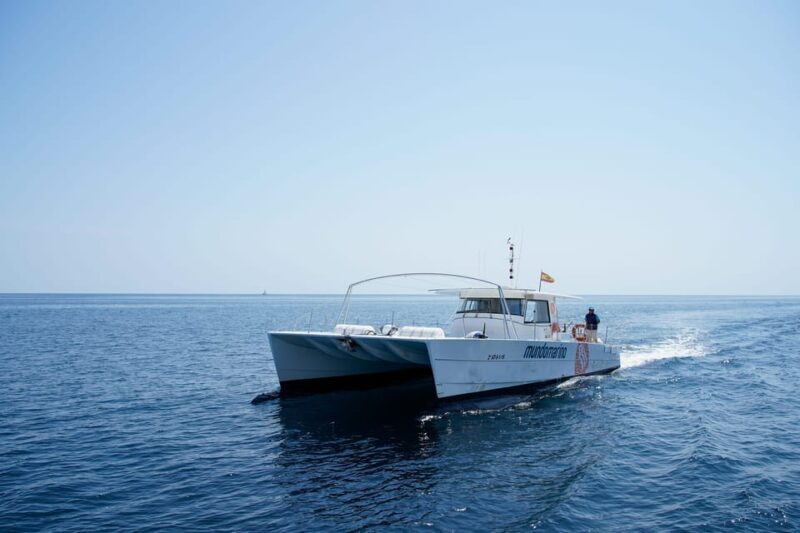 Altea: Motor catamaran with optional lunch and swimming stop - What to Expect from the Altea Motor Catamaran Tour