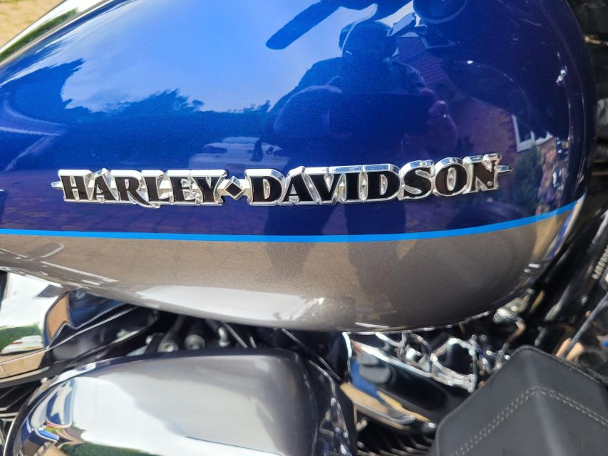 Alton: Harley Davidson Pillion Tour of The South Downs - Experience Highlights