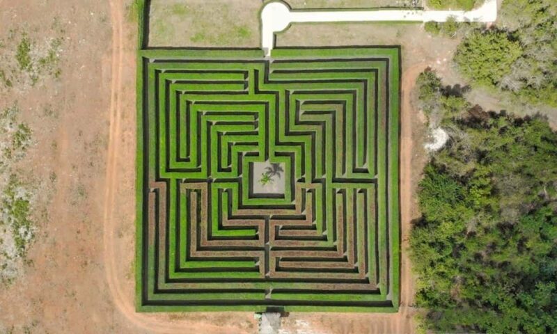 Altos de Chavón: Cultural Day Higuey experiences - The Sum Up: Who Is This Tour Best For?