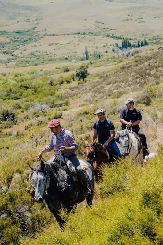 Aluminé: 4-Day Patagonian Horseback Riding Tour with Lodging - An In-Depth Look at the 4-Day Horseback Riding Tour