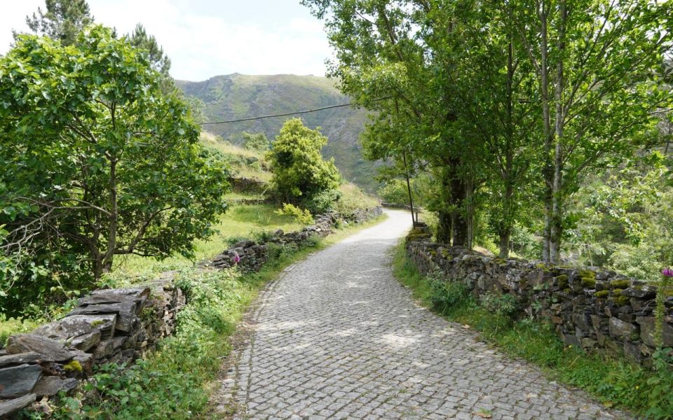 ALVÃO SHEPHERDS HIKE - Not Included in the Tour