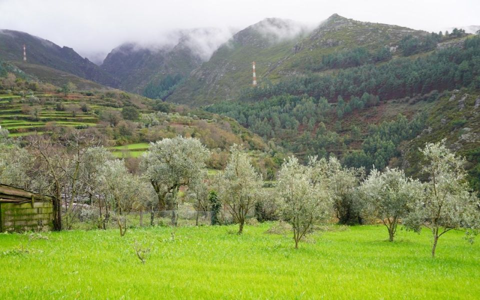 ALVÃO SHEPHERDS HIKE - Getting There