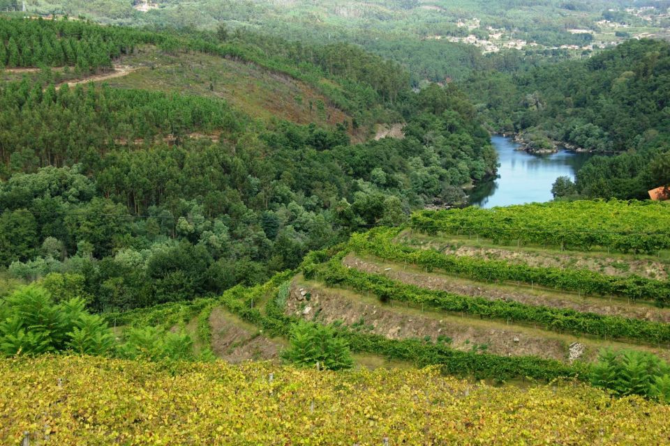 Alvarinho Wine Full Day Tour - Frequently Asked Questions