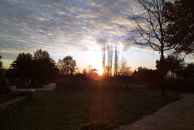 Alyan Vineyard Tour - Inclusions