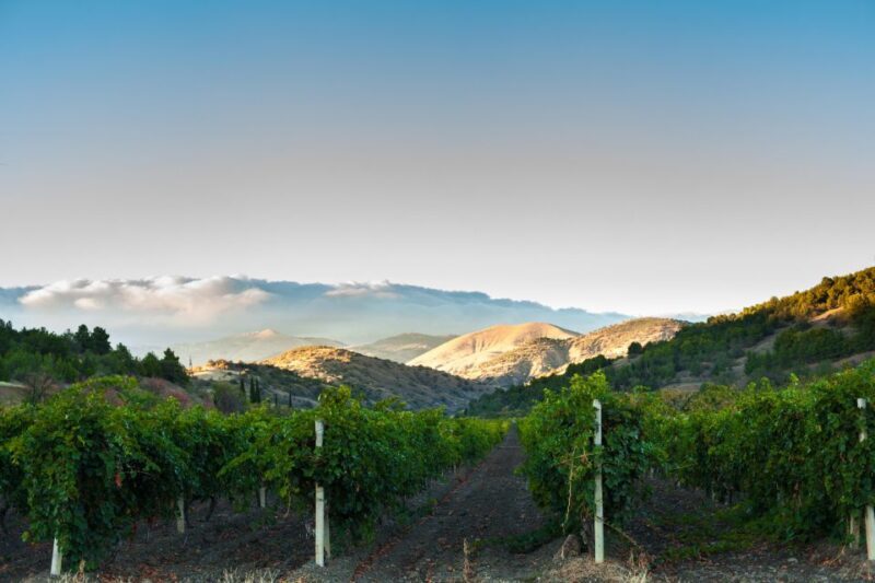 Amador County Wine Tasting Digital Passport - Exploring the Wineries and the Region