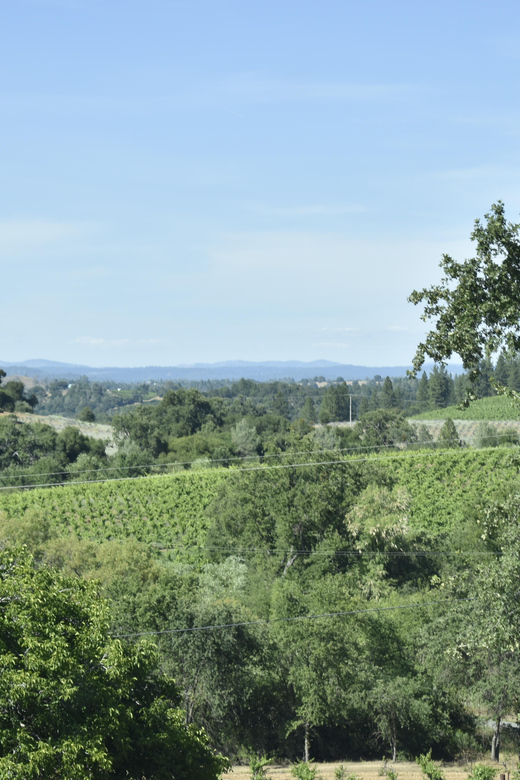 Amador County Wine Tasting Tour Private Tour 1 To 14 Group - Pricing Information