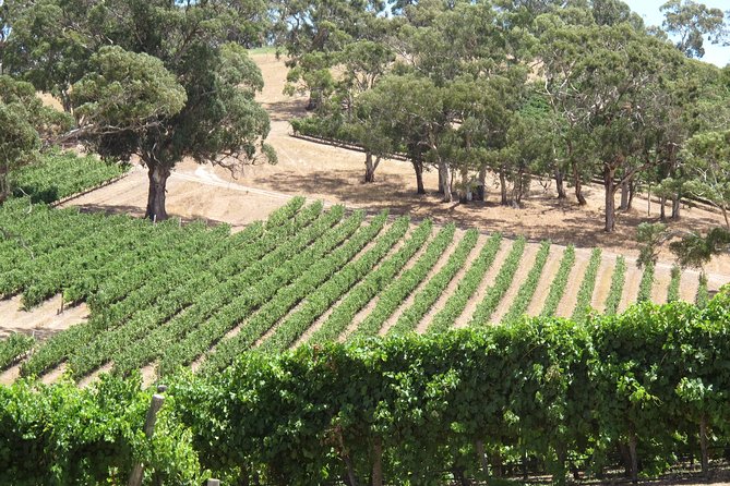 Amador County Wine Tasting Tours 6 to 8 Hour Private Tour 14 Pax - Tour Overview