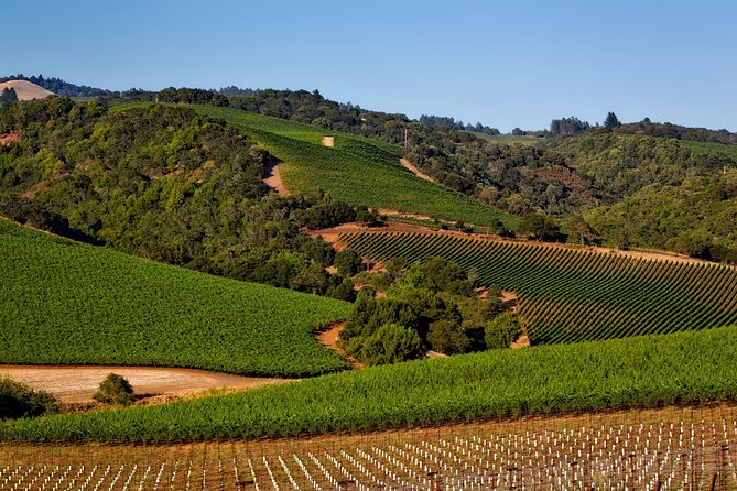 Amador County Wine Tasting Tours 6 to 8 Hour Private Tour 14 Pax - Customizable Itinerary