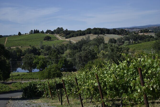 Amador County Wine Tasting Tours max 14 pax Private Wine Tours - Pricing and Value