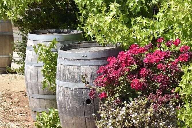 Amador County Wine Tasting Tours max 14 pax Private Wine Tours - Who Will Love This Tour?