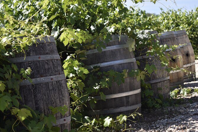 Amador County Wine Tasting Tours max 14 pax Private Wine Tours - FAQ