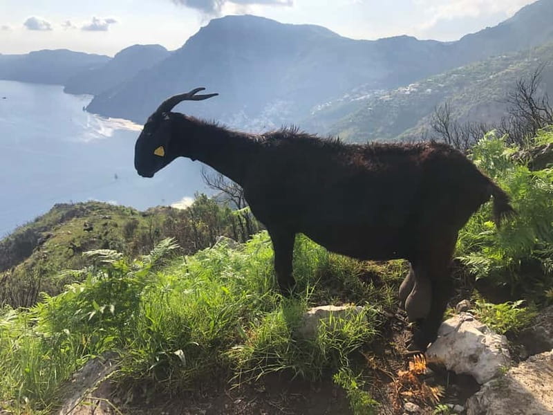 Amalfi Coast: Bomerano to Nocelle  The Path of the Gods - Key Points
