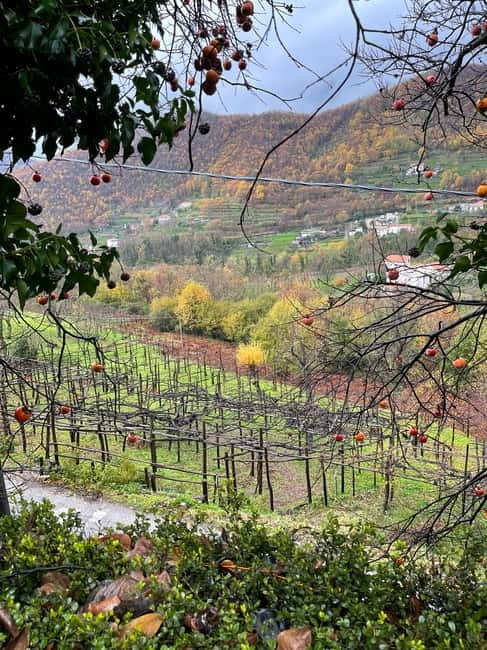 Amalfi Coast: Bomerano to Nocelle  The Path of the Gods - The Sum Up: Is This Tour for You?
