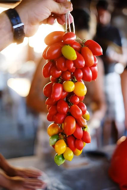 Amalfi Coast: Farm-tour, Make Mozzarella and Tagliatelle - Key Points