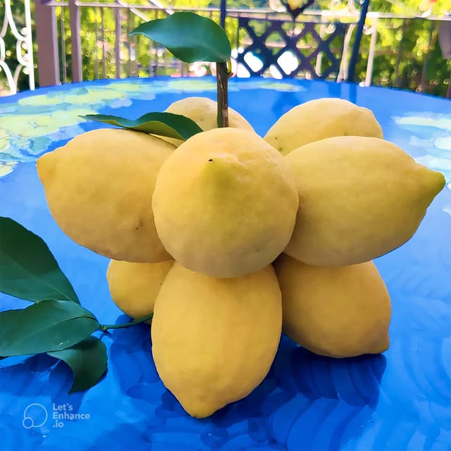 Amalfi Coast: lemon tour with tasting - Who Will Appreciate This Tour?