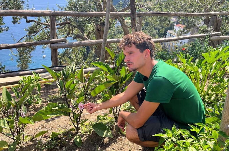Amalfi Coast: Pizza & Mozzarella Class with Farmhouse visit - The Sum Up: Who Will Love This Experience?