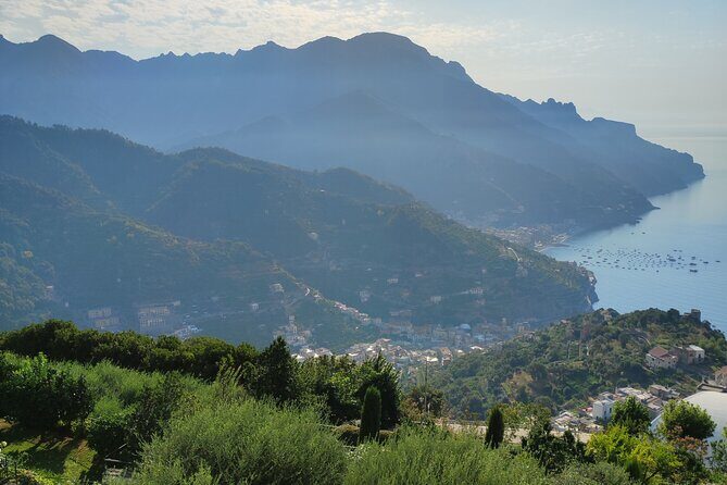 Amalfi Coast Vintage Tour with oil tasting in Ravello - The Sum Up: Is It Worth It?