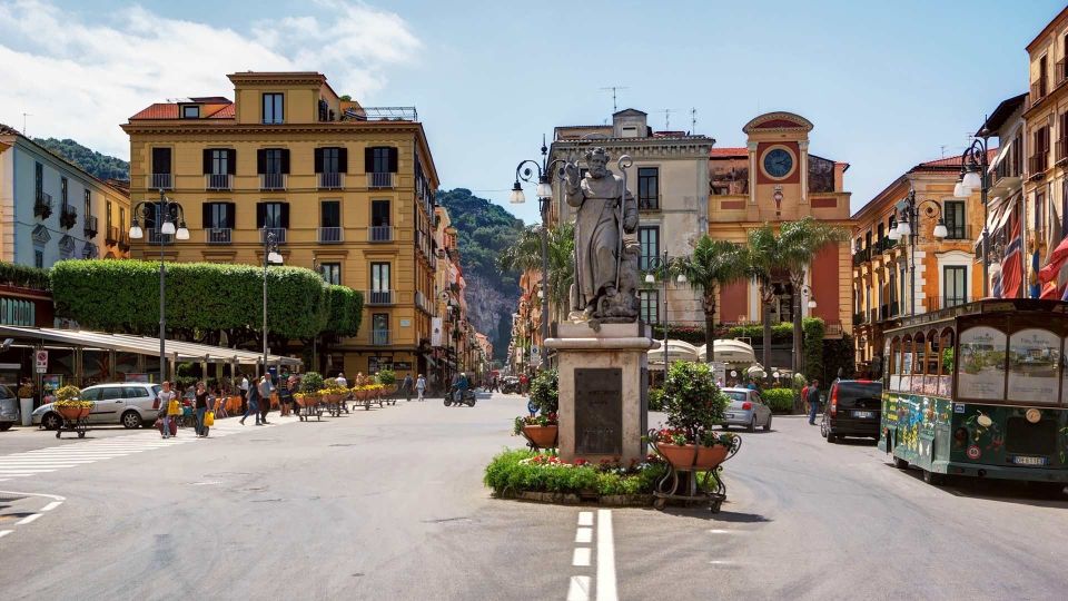 Amalfi Coast Wheelchair Accessible Tour - Experience Description