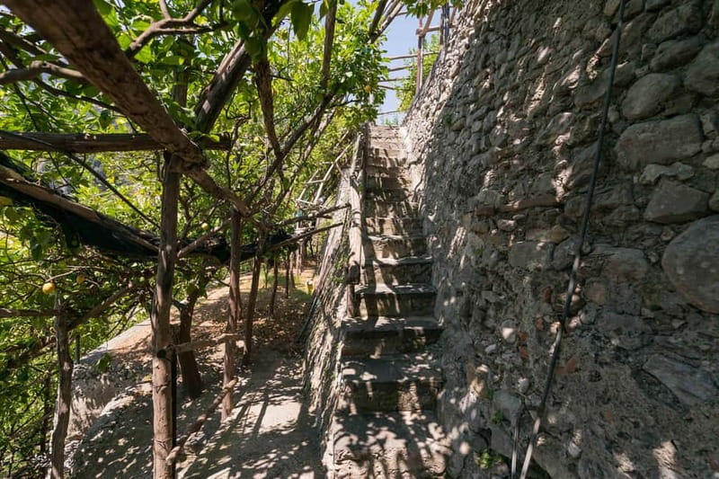 Amalfi Monumental Garden - Lemon Grove Guided Tour - A Fresh Perspective on Amalfi’s Lemon Heritage