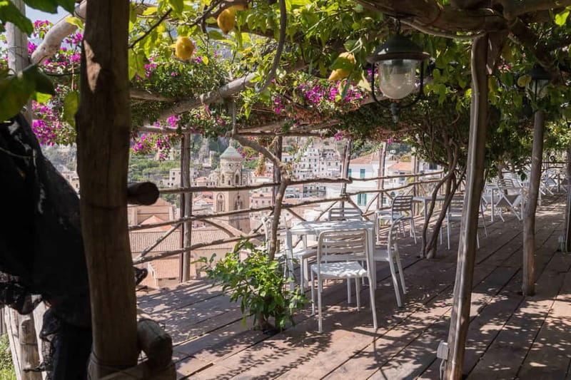Amalfi Monumental Garden - Lemon Grove Guided Tour - Who Will Love This Tour?
