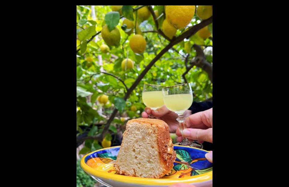 Amalfi Organic Lemon Tour & Tasting in the Historical Garden - Ask Away