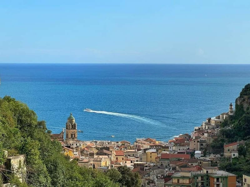 Amalfi Organic Lemon Tour & Wine Tasting - Who Will Enjoy This Tour?
