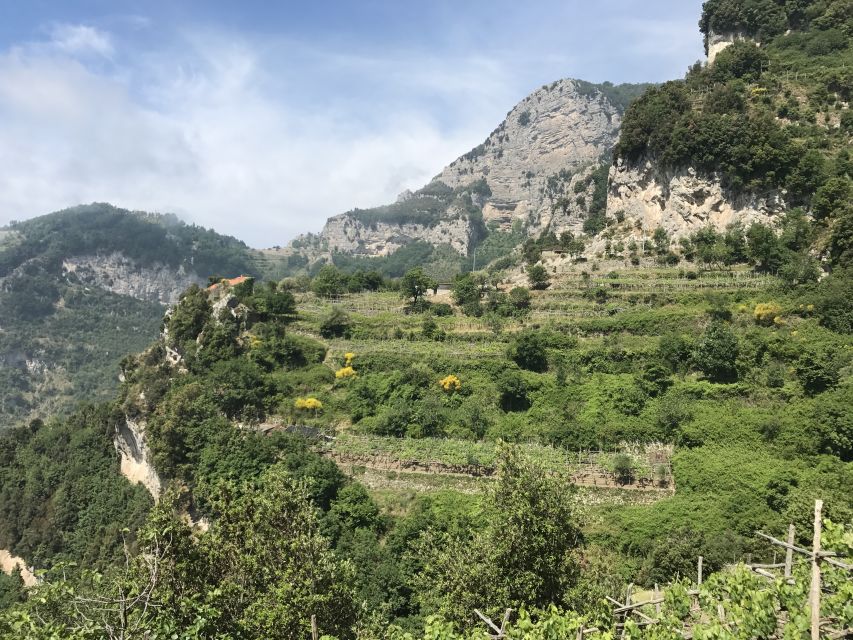 Amalfi: Walking Tour Between Furore Vertical Vineyards - Highlights of the Tour