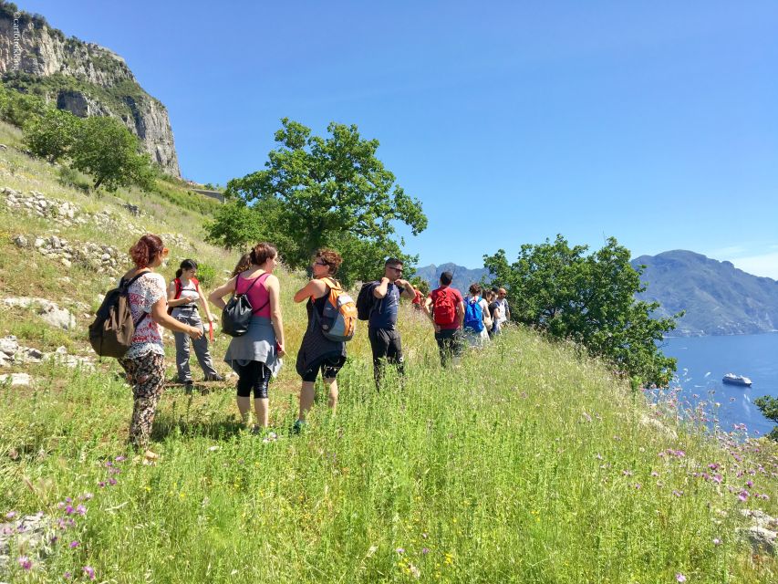 Amalfi: Walking Tour Between Furore Vertical Vineyards - Lunch at the Farmhouse