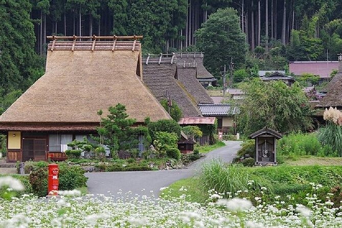 Amanohashidate and Miyama Kayabuki No Sato 1 Day Tour From Osaka - Pickup and Accessibility