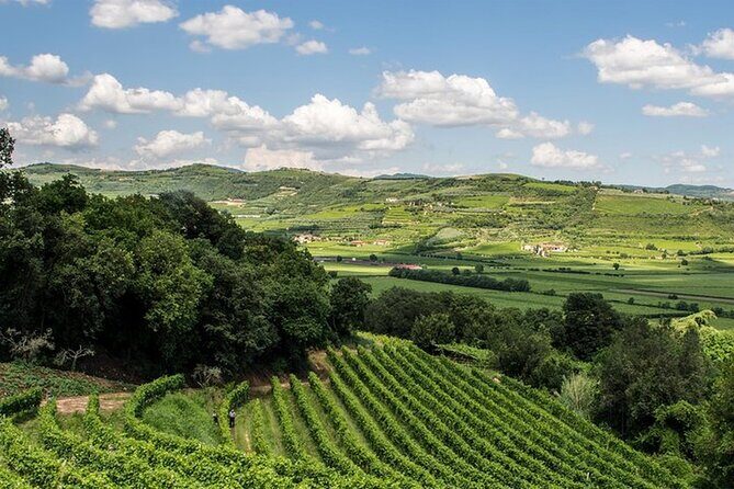 Amarone-Valpolicella private tour. Visit Verona. From Venice - The Itinerary in Detail