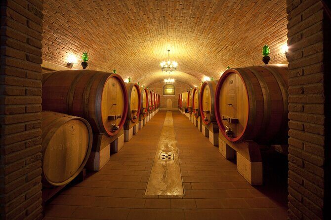Amarone-Valpolicella private tour. Visit Verona. From Venice - Who Will Love This Tour?