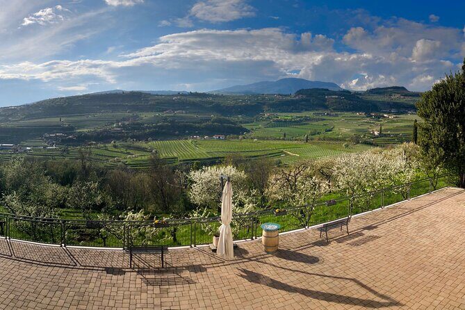 Amarone Wine Tasting from Verona - Behind the Scenes at Gamba Winery