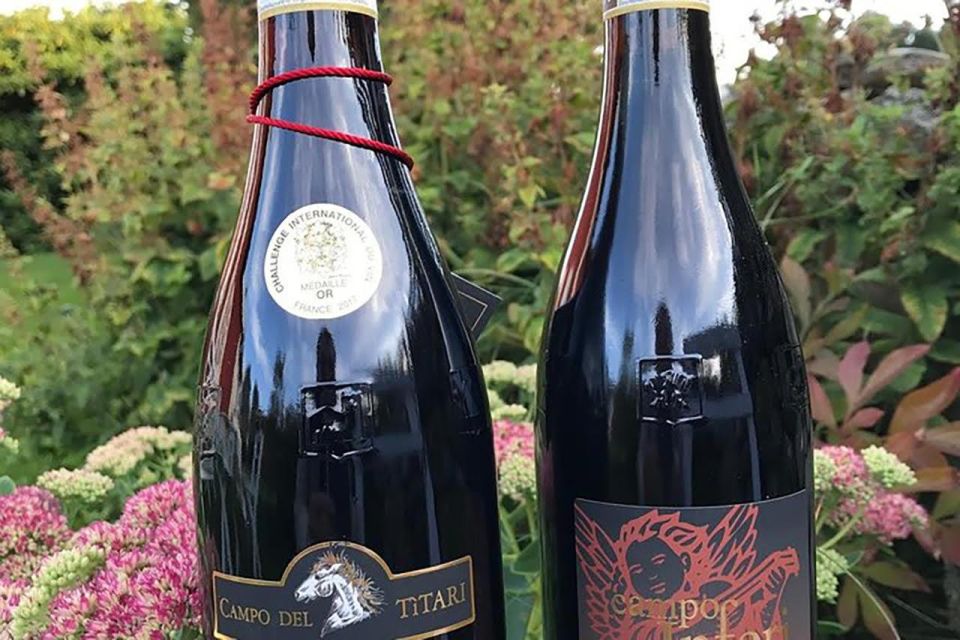 Amarone Wine Tasting Tour. Visit Verona. From Venice - Verona Highlights
