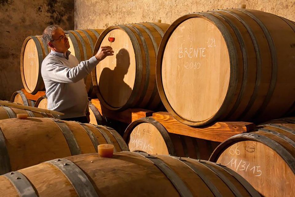 Amarone Wine Tasting Tour. Visit Verona. From Venice - Mobility Impairments