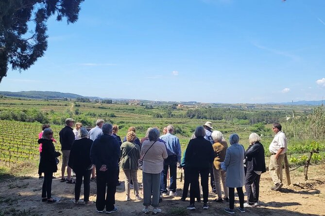 Amarone Wine Tour Review: A Taste of Italy - Visiting Historic Valpolicella Wineries