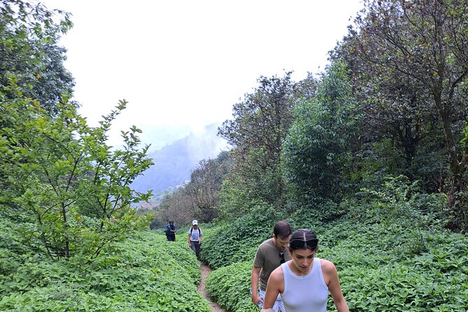 Amazing 1 Day Trekking Experience in Kathmandu Nepal - Reviews and Testimonials