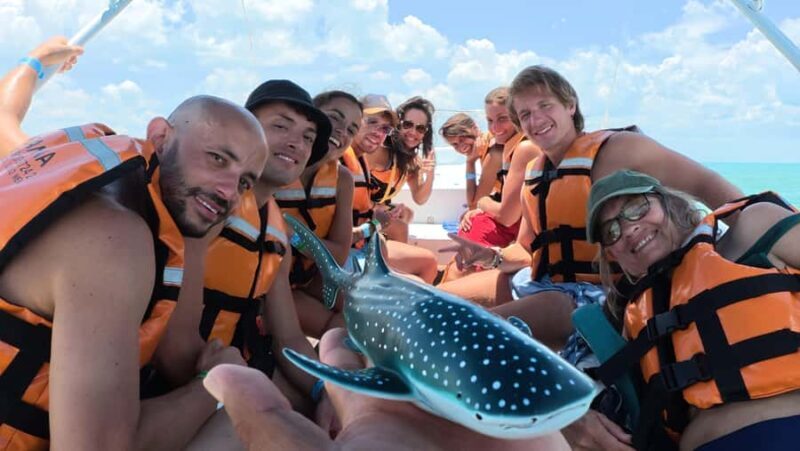 Amazing Adventure, Search and Swim with Whale Sharks on Holbox Island - Price and Value