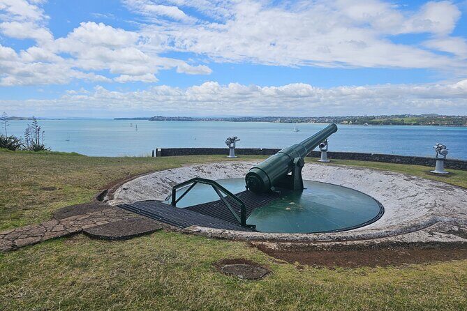 Amazing Auckland City Half Day Guided Tour - Transportation and Practicalities