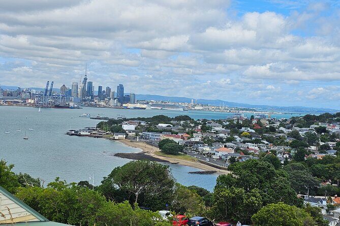 Amazing Auckland City Half Day Guided Tour - Pricing and Value